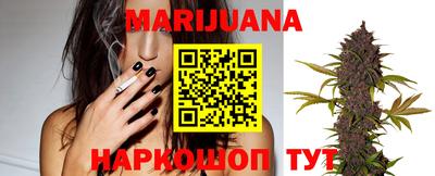 apvp Краснодар