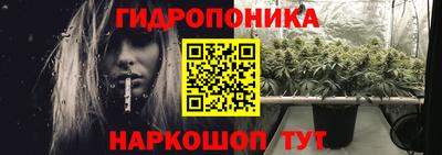 apvp Краснодар