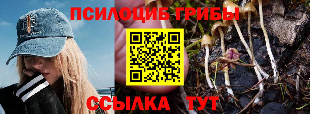 Кисловодск  Псилоцибиновые грибы GOLDEN TEACHER  Галлюциногенные грибы Cubensis  Вход с VPN 